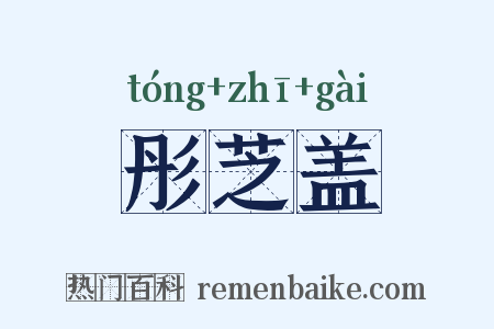 彤芝盖是什么意思的图片